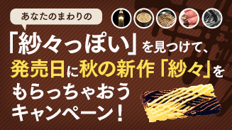 紗々柄キャンペーン